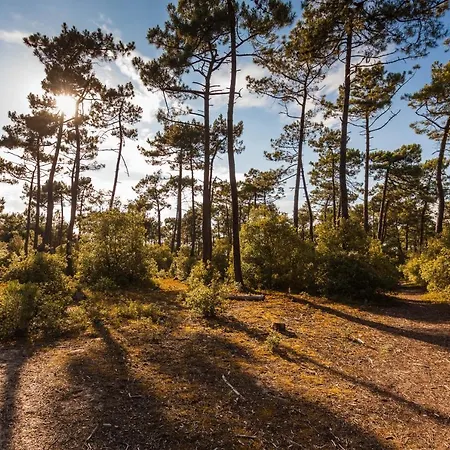 Maison De Proche Du Port Nyaraló