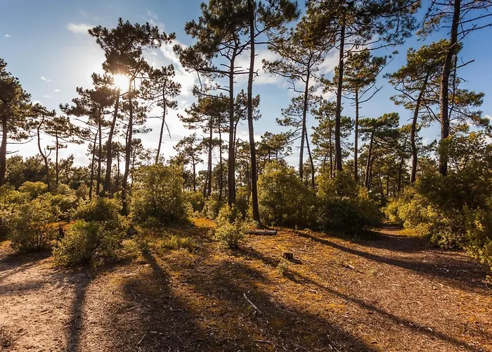 Maison De Proche Du Port Ferienhaus